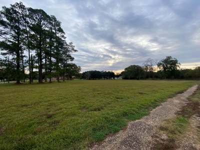3 Lafayette Parish Lots for Sale - Maurice, LA - image 5