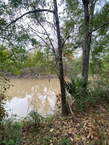3 Lafayette Parish Lots for Sale - Maurice, LA - image 13