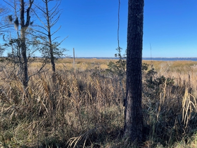 Waterfront Lot for Sale Beaufort NC - image 20