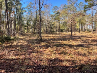 Waterfront Lot for Sale Beaufort NC - image 15