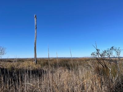 Waterfront Lot for Sale Beaufort NC - image 22