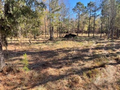 Waterfront Lot for Sale Beaufort NC - image 18