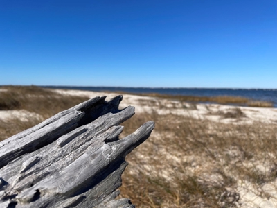 Waterfront Lot for Sale Beaufort NC - image 1