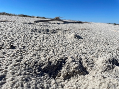 Waterfront Lot for Sale Beaufort NC - image 33