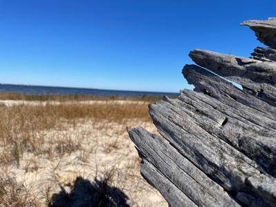 Waterfront Lot for Sale Beaufort NC - image 36