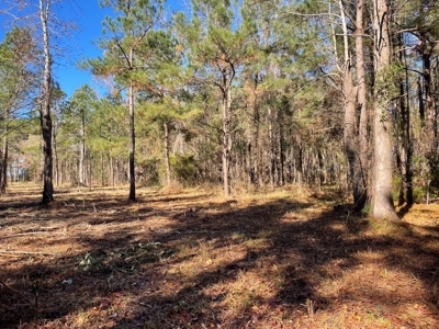 Waterfront Lot for Sale Beaufort NC - image 13