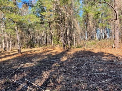 Waterfront Lot for Sale Beaufort NC - image 11