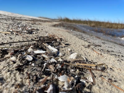 Waterfront Lot for Sale Beaufort NC - image 35