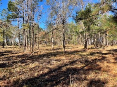 Waterfront Lot for Sale Beaufort NC - image 16