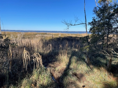 Waterfront Lot for Sale Beaufort NC - image 19