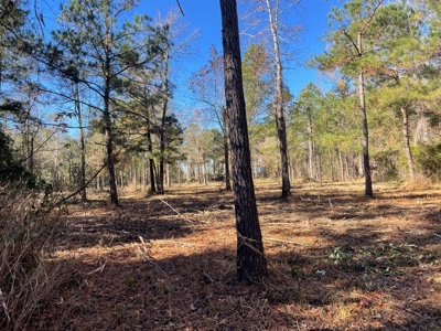 Waterfront Lot for Sale Beaufort NC - image 14