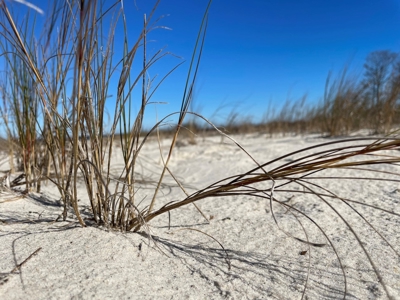 Waterfront Lot for Sale Beaufort NC - image 32