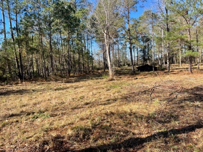 Waterfront Lot for Sale Beaufort NC - image 17