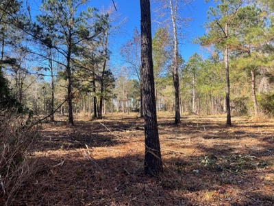 Waterfront Lot for Sale Beaufort NC - image 12