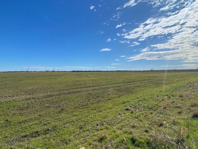 Fertile Farm Land For Sale in Bogata TX - image 4