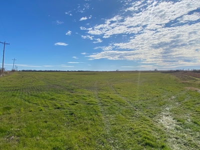 Fertile Farm Land For Sale in Bogata TX - image 3