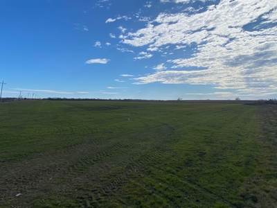 Fertile Farm Land For Sale in Bogata TX - image 7