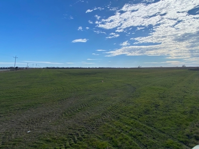Fertile Farm Land For Sale in Bogata TX - image 6