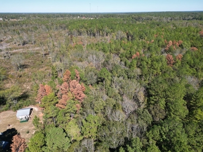 Great Timberland/Hunting Tract in Southwest Mississippi - image 5