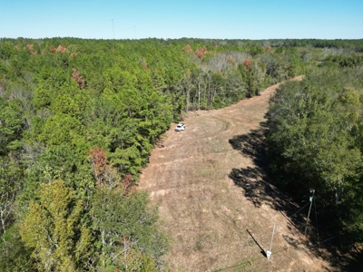 Great Timberland/Hunting Tract in Southwest Mississippi - image 8