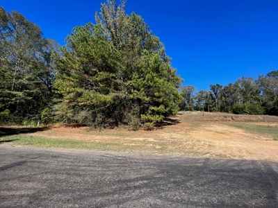 Great Timberland/Hunting Tract in Southwest Mississippi - image 11