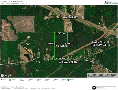 Great Timberland/Hunting Tract in Southwest Mississippi - image 15
