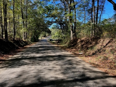 Great Timberland/Hunting Tract in Southwest Mississippi - image 1