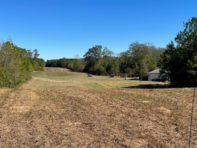 Great Timberland/Hunting Tract in Southwest Mississippi - image 10