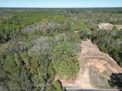 Great Timberland/Hunting Tract in Southwest Mississippi - image 7