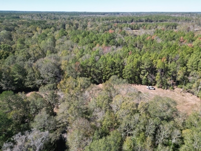Great Timberland/Hunting Tract in Southwest Mississippi - image 9