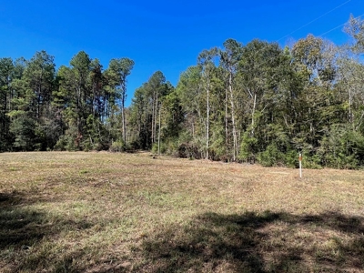 Great Timberland/Hunting Tract in Southwest Mississippi - image 12