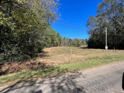 Great Timberland/Hunting Tract in Southwest Mississippi - image 13