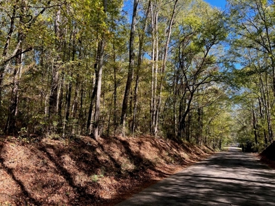 Great Timberland/Hunting Tract in Southwest Mississippi - image 2
