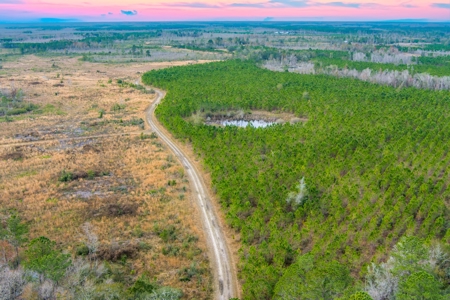 Prime Hunting Land North Florida - 720+Acres  Lafayette Co - image 1