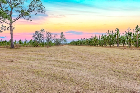 Prime Hunting Land North Florida - 720+Acres  Lafayette Co - image 3