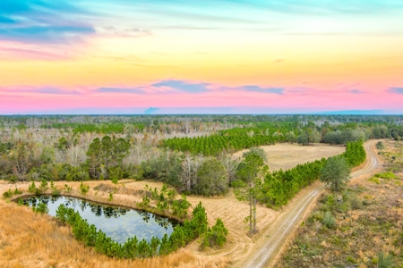 Prime Hunting Land North Florida - 720+Acres  Lafayette Co - image 2