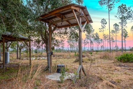 Prime Hunting Land North Florida - 720+Acres  Lafayette Co - image 12