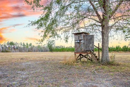 Prime Hunting Land North Florida - 720+Acres  Lafayette Co - image 10