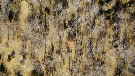 Land For Sale - image 7