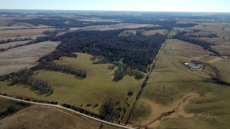 Land For Sale - image 1