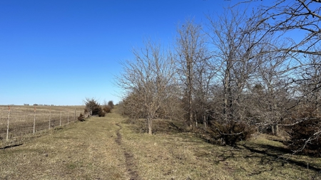 Land For Sale - image 16