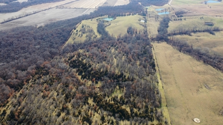 Land For Sale - image 2
