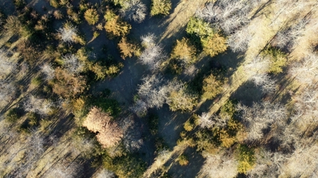 Land For Sale - image 8