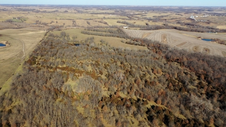 Land For Sale - image 6