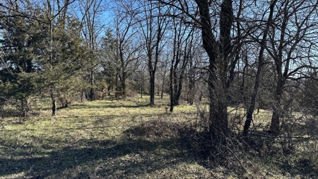 Land For Sale - image 14