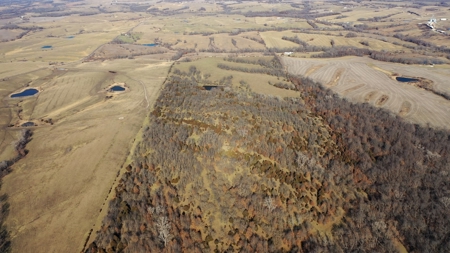 Land For Sale - image 4