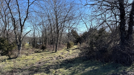 Land For Sale - image 11