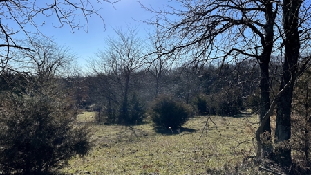 Land For Sale - image 13
