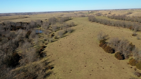 Land For Sale - image 9