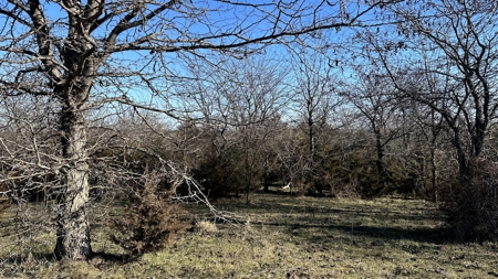 Land For Sale - image 17